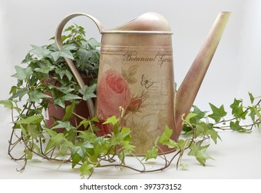 Decoupage, Watering Can And Flower