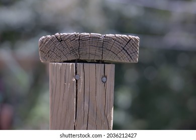 Decrepit old cracked and worn wood planks nailed together crooked, in bright sunlight against summer blurred background