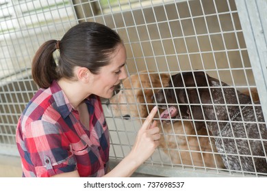 Dedicated Girl Training Dog In Kennel