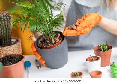 Dedicated woman maintaining her home garden, nurturing plants with care and passion - Powered by Shutterstock