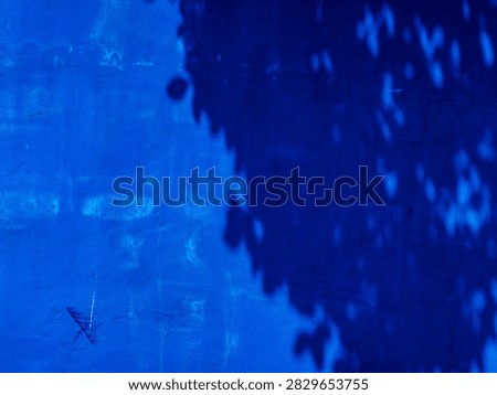 Deep Blue Painted Wall Texture with Dappled Leaf Shadow Pattern