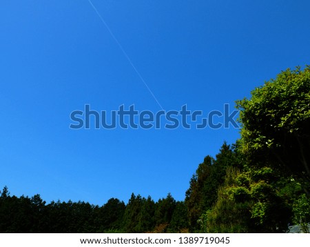 Similar – die Vögel Himmel Baum