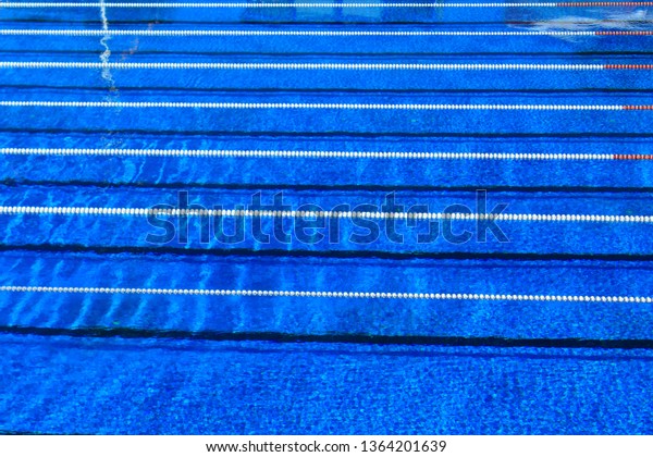 Deep blue sparkling water and swim lanes of a\
sports complex