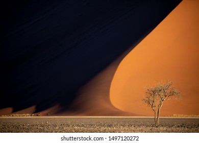 Deep colors of sand dunes during sunset. Sossusvlei, Namibia. - Powered by Shutterstock