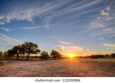Deep colours as the sun sets over a dry riverbed in the Kgalagadi between South Africa and Namibia