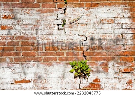 Deep crack in old brick wall with damaged plaster 