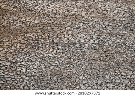 Deep cracks spread across dry land during the peak of summer, illustrating the severe effects of drought and prolonged water scarcity. The barren landscape highlights the impact of extreme heat, changing climate conditions, and soil dehydration. This image symbolizes environmental challenges, emphasizing the urgent need for sustainable water and land conservation.