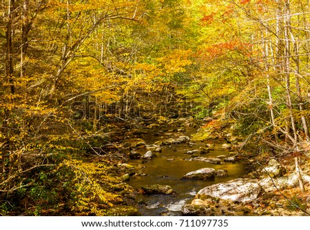Deep Creek in he Tremont area of the Great Smoky Mountains National Park in Tennessee.  Colorful autumn leaves cover many of the rocks in the creek