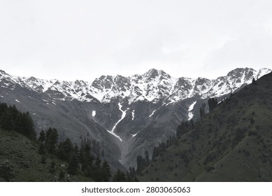 A deep, dramatic alpine valley is framed by steep, rugged terrain. In the foreground and midground, massive hillsides slope sharply inward to form a distinct V-shape, their surfaces covered in a mix of low-lying green vegetation, earthy terrain, and scattered rocks. Dotting these steep inclines are numerous dark green evergreen pine trees, which grow densely along the upper ridges and sparsely along the lower stretches of the valley. The dark, textured silhouettes of these conifers provide a rich contrast to the lighter green and brown hues of the grassy slopes.

Beyond the forested valley, a towering and imposing mountain range dominates the background. The craggy, jagged peaks are heavily dusted with white snow, beautifully highlighting the sharp ridges and deep crevices of the rocky massif. In the very center of this background range, a prominent, steep ravine funnels downward, thickly packed with bright white snow that stands out sharply against the surrounding dark grey stone. The entire scene is set beneath a flat, pale, and completely overcast sky, casting an even, diffused daylight over the wilderness and emphasizing the remote, untouched grandeur of this cold highland environment.