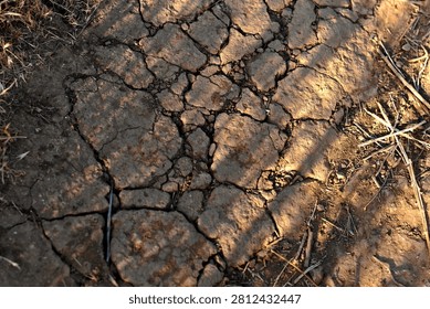 Deep fissures form an irregular pattern across dry, sunbaked soil during summer in Corona, California.