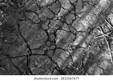 Deep fissures form an irregular pattern across dry, sunbaked soil during summer in Corona, California.