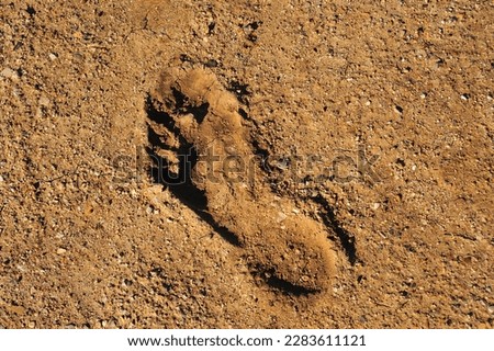 Deep footprint left in hardened soil. Age-old evidence of mankind's presence on earth. High quality photo