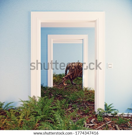 deep forest floor in the room interior. Photomanipulation conceptual design 