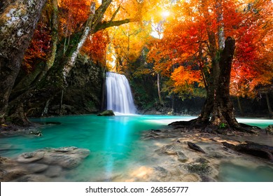 Deep Forest Waterfall