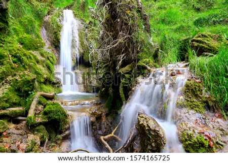 Similar – Image, Stock Photo Bear Guard Gorge Nature