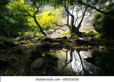 Deep Forest Waterfalls