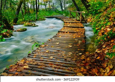 Deep forest wooden pathway over the crystal water creek in Plitvice National Park