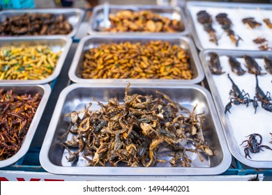 Deep Fried Insects Weird Food At Khao San Road Bangkok,Street Food