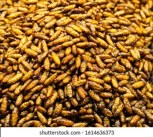 928 Fried Larva Silk Worms Images, Stock Photos & Vectors 