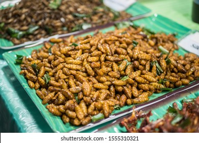 928 Fried larva silk worms Images, Stock Photos & Vectors | Shutterstock