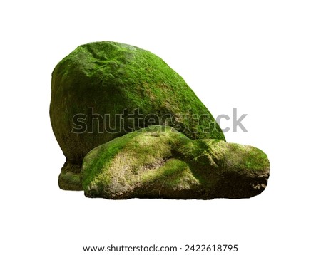 A deep green forest rocky stone covered by a thick moss and tiny plants isolated on white background