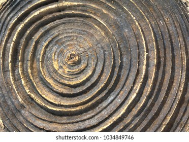 Deep Grooves Worn Growth Rings Tree Stock Photo 1034849746 | Shutterstock