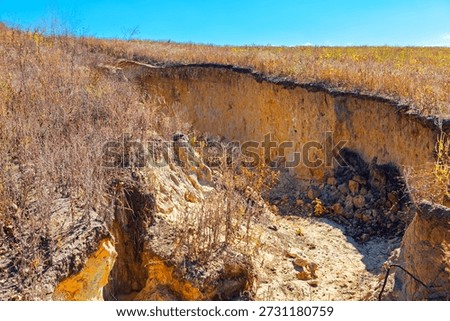 Deep gully cuts through eroded land, exposing layered soil with sparse vegetation clinging to surface. Degradation and the vulnerability of barren terrain to environmental forces