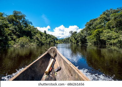 Deep Jungle Exploration, Amazon Rain Forest, Venezuela