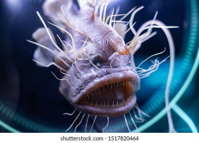 Deep Ocean Water Monster Fish.