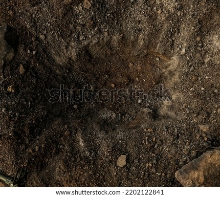 Deep pit in the ground. In the pit lies a Sapper shovel. Digging a hole. hole dug for campfire. Dig a hole. Planting or searching. top view. 