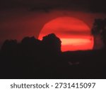 Deep Red Sun Setting Behind Dense Clouds Creating Dramatic Atmospheric Sky

A deep red sun partially obscured by dense dark clouds during sunset, creating a dramatic atmospheric sky.
This image captures natural light scattering, extreme color saturation, and layered cloud formations, making it suitable for environmental analysis, atmospheric research, climate visualization, and AI training datasets related to sky conditions and solar phenomena.