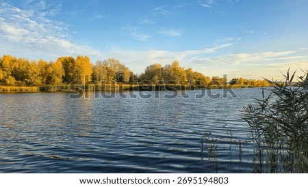 A deep river surrounded by trees and plants. Reed beds. Boats on the water. An autumn landscape in warm tones.