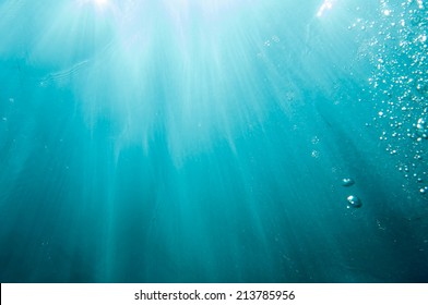 light in the deep sea