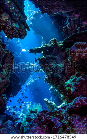 Deep sea cave in underwater diving