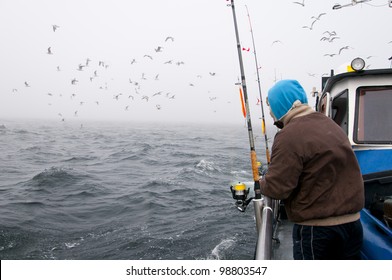 Deep Sea Fishing. The Catch Of Cod. Poland