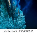 Deep Sea Hydrothermal Vents in Mid-Atlantic Ridge, 09.20.2024 2024. Deep-sea floor ecosystem, Deep-sea mining, Deep Ocean Volcanoes