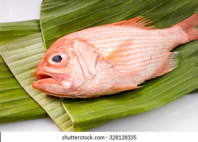 Deep Sea Perch On Banana Leaves