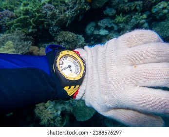 Deep Sea Watch On A Diver's Hand At The Bottom Of The Red Sea, Hurghada, Egypt