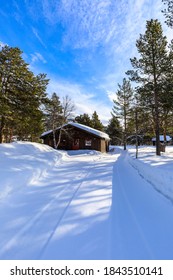 Deep Snow Alongside A Snowy Road Through Traditional Bjorli Village, An Early Snow Ski Resort, With Pine Trees And Cabins, Winter Sun Overhead, Bjorli, Oppland, Norway 03.02.19