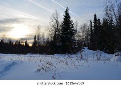 Deep snow in a Russian Forest in winter 