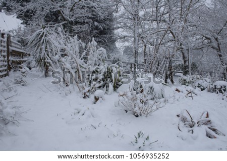 Deep Thick Snow Country Cottage Garden Stock Photo Edit Now - 