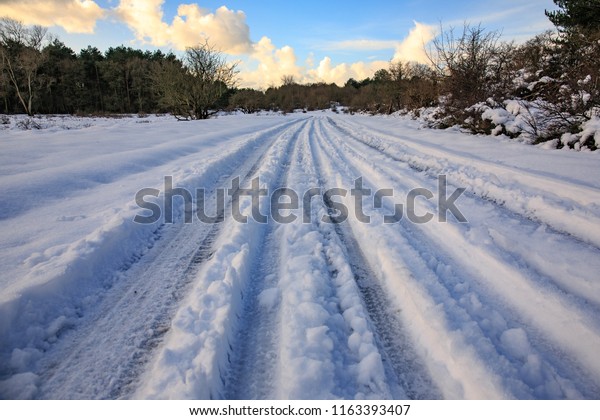 deep tracks driven trough deep snow\
which has fallen in a nature reserve of the\
Netherlands