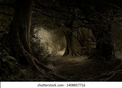 Foret La Nuit High Res Stock Images Shutterstock