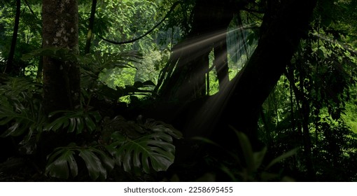 Deep tropical jungle in darkness - Shutterstock ID 2258695455
