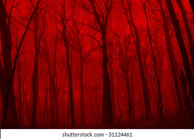 The Deep Woods With A Deep Red Fog Like A Eerie Scene From A Horror Movie.