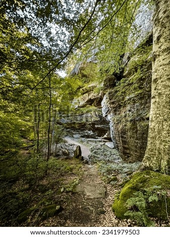 Deep in the woods at Shawnee National Forest surrounded by majestic natural sandstone rock formations. Located along Rim Rock Trail within Pounds Hollow Ecological Reserve in Shawnee National Forest.