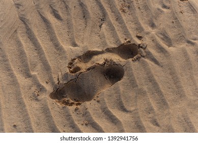 Deeply printed footprint of bare feet in wet sand - Shutterstock ID 1392941756