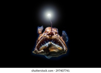 Deep-Sea Stingray - Shutterstock ID 297407741