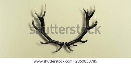 Deer antlers isolated on green background and