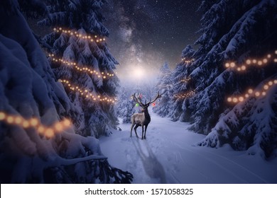 A Deer With Christmas Decoration In The Winter Forest